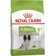 Royal Canin X-Small Adult 8+, сухий корм для дорослих собак мініатюрних порід віком від 8 років, 1,5 кг